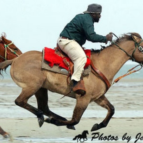 Beach Races