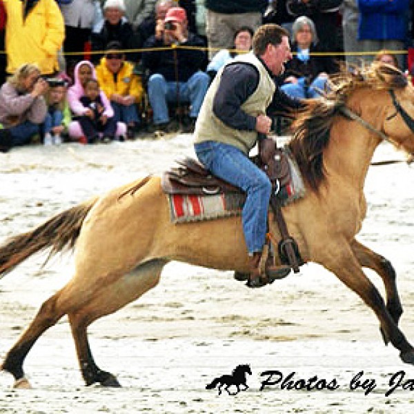 Beach Races