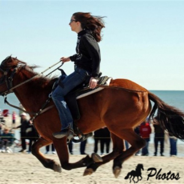Beach Races