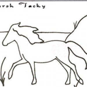 Horses