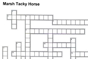 Crossword Puzzle