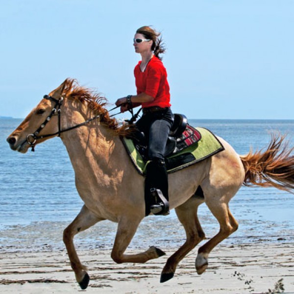 Beach Races