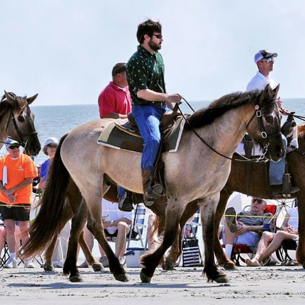 Beach Races